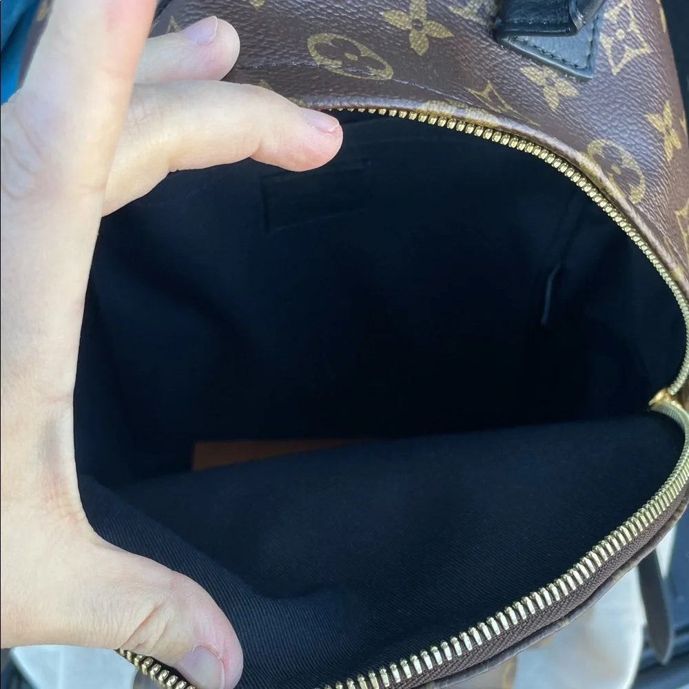 Louis Vuitton Palm Springs MM monogram backpack - Picture 10 of 15